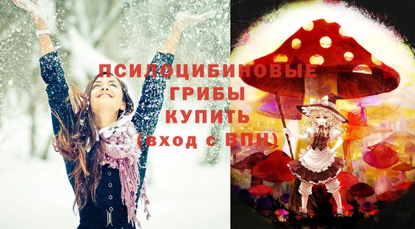 дурь Семикаракорск